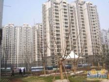 星河二期,新出电梯三房,高区景观,边套全明,看房随