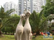 星河世纪城1室东朝向519.00万元/套出售