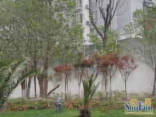 大顶复 大顶复 大顶复 满五唯-精装修 实际使用面积大