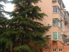 长桥一村新上低总价 低单价 即收租 诚意卖 价可谈