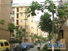 高兴花园二三四街坊 1室1厅 南