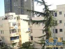 92年房龄,推窗见绿,南北通透,楼道贴瓷砖