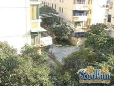 中楼层电梯房,视野开阔,采光好,无遮挡,急售