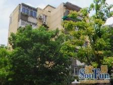 近地铁 现场实勘 采光好 必看好房