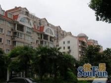 内环内旭辉旁 2000年商品房 带阁楼 带百万精装修