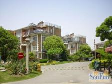 非顶楼 不靠路 南北户型 ,倚天一出谁与争锋AAAAA房