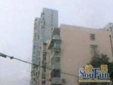 金杨·信罗大厦·2室·1厅