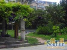 新上低楼层位置好&#x2B;近双轨13&#x2B;14号线&#x2B;满五年&#x2B;丰庄商业街