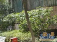 房型方正。大2房景观好适合一家三口