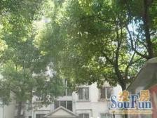 近地铁 无抵押,产权清晰 电梯房 新上房源