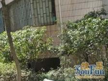 徐家汇·江南裕德大厦·2室·1厅