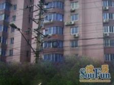 降价笋盘,价格可议,满五维1 ,户型正气,全明户型