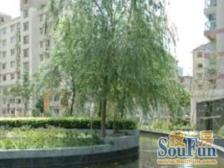 2004年中区电梯大3房+鞍山CBD地段+8号/18/10号线