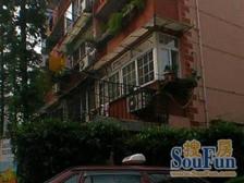 电梯房 全明通风好 无遮挡 采光好 视野好