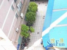 小区景观位置,小区中心位置,主卧朝南,卫生间全明