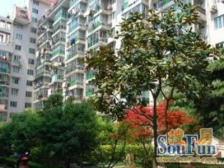 丽园公寓 2室2厅 南 北