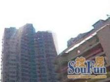 客厅正对小区花园 楼层佳 采光无遮挡