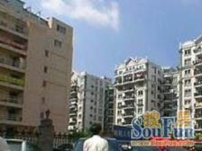 02年商品房 人车分流 地理位置优越 三房全明户型