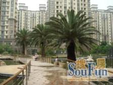 莘庄·东苑新天地-疏影路711弄·4室·2厅