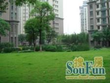 莘庄·东苑新天地-疏影路711弄·4室·2厅