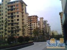 视野无遮挡 全天采光 好停车 房龄2011年 近地铁