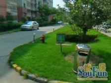 大户型,一家三代居住,电梯房,诚心出售,交通便利