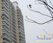 静教院,小高层,得房率高,有空调带地暖,满五税费少