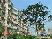 大户型,一家三代居住,电梯房,诚心出售,交通便利