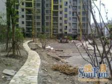 近地铁,刚需上车 产权清晰 无抵押,新上房源