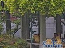 凤凰层,双南改动空间大,背靠杨浦公园,8号线300米,随时看