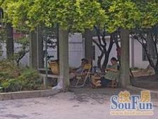 南北通透,朝南有阳台,装修一般但是价格好谈,闭眼入