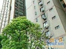 东外滩渔人码头,一线江景,出门既是地铁的精装三房