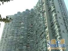 青松小区1室1厅1卫西南朝向463.00万元/套出售