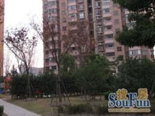 正三房+位置好+近新嘉、视野无遮挡,业主诚意
