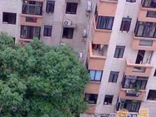 广汇花苑 3室1厅 东 东南 南