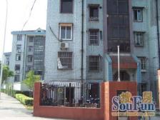 荷五小区3室南朝向448.00万元/套出售