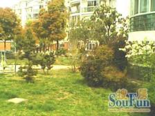 北蔡·绿川馨康苑·5室·2厅