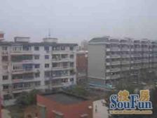 刚需上车,现场实勘 必看好房