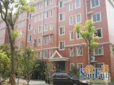 现场实勘,刚需上车,精装,店长力推