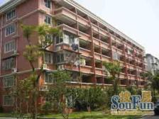 无抵押 精装 产权清晰 必看好房