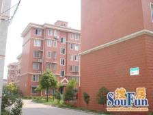 刚需上车 随时看房 无抵押 必看好房