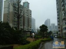 名江七星城2室南朝向1850.00万元/套出售