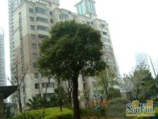 滨江高区南北通景观房 可看三件套,冬暖夏凉,精装修