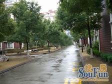 主卧朝南,环境优美,居家装修,诚意出售