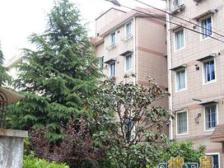 近地铁,刚需上车 随时看房,新上房源