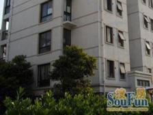 房东诚意售,采光好 楼层号 美丽家园正在筹备