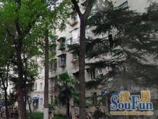 曹杨三村1室南朝向150.00万元/套出售