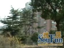 新二村 三开间朝南,楼层佳,位置好