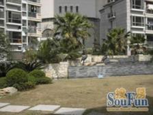 玫瑰广场1室南朝向820.00万元/套出售