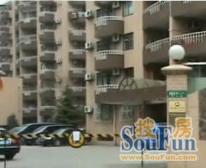 百年华山路,小高层电梯房,全南三房,大草坪花园